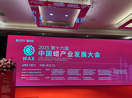 XVI Conferencia sobre el Desarrollo de la Industria de Cera en China
